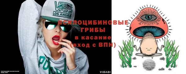 mdma Богородицк