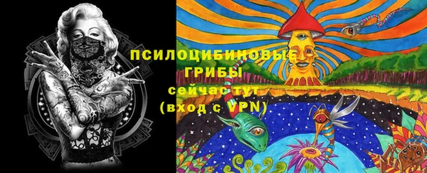 эйфоретик Богородск